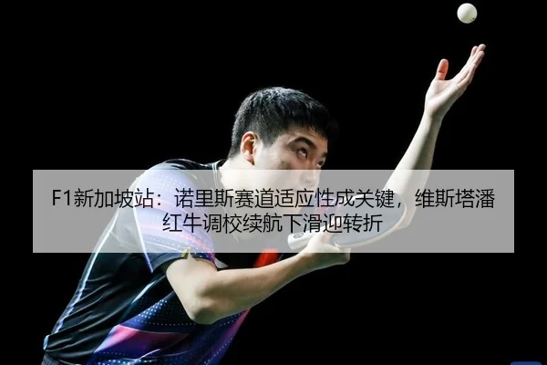 F1新加坡站：诺里斯赛道适应性成关键，维斯塔潘红牛调校续航下滑迎转折